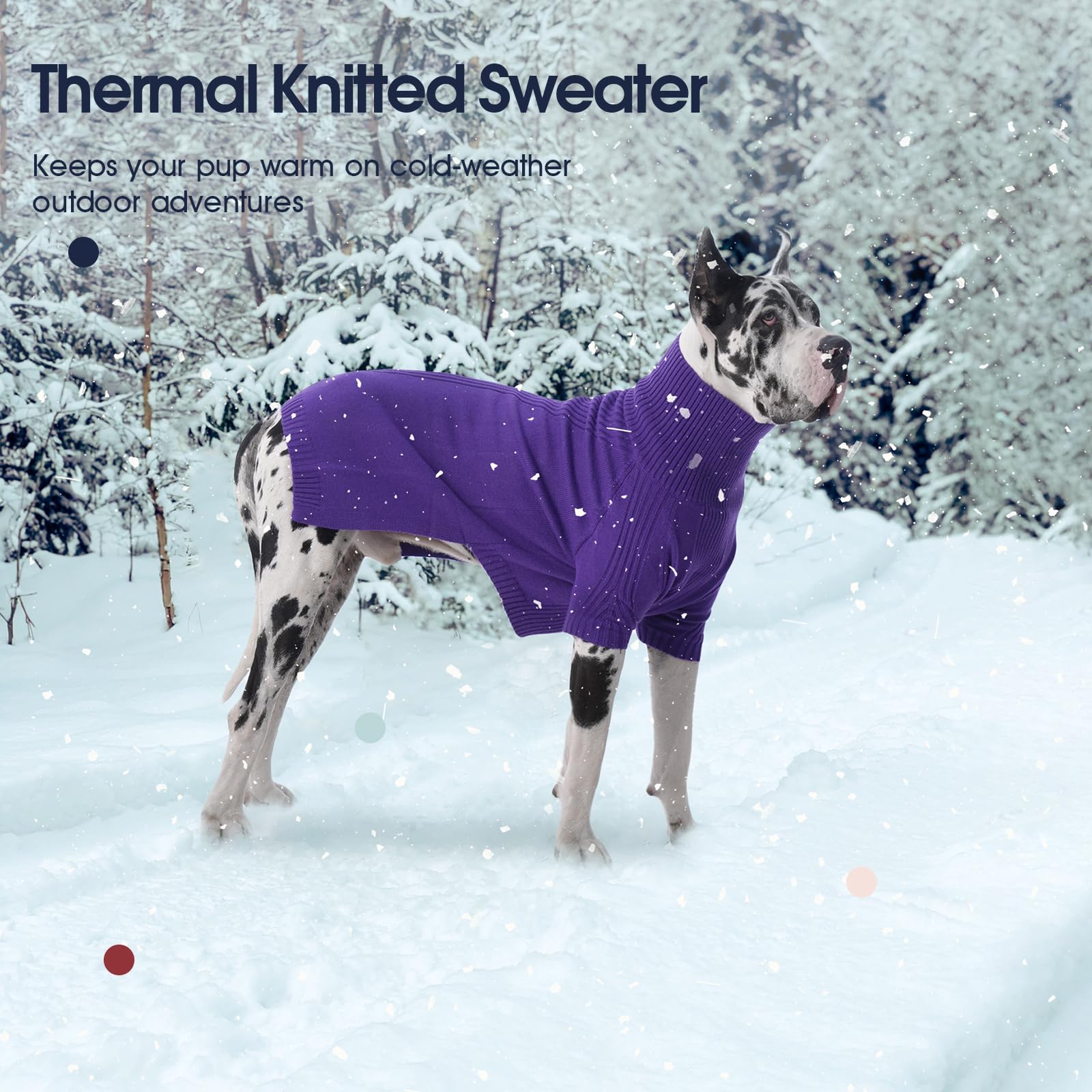 IECOii on a Doberman demonstrates easy-on pullover design for quick dressing.