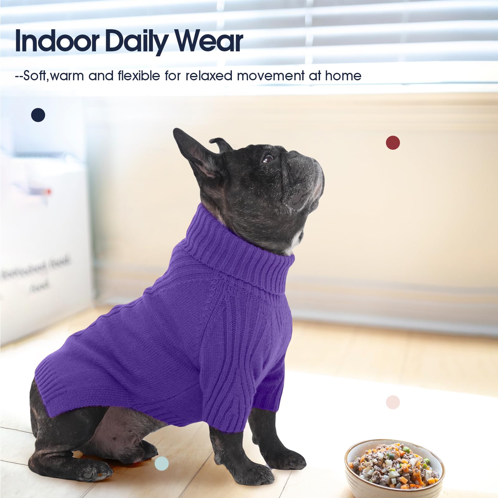 IECOii on a Great Dane shows roomy fit and warmth.