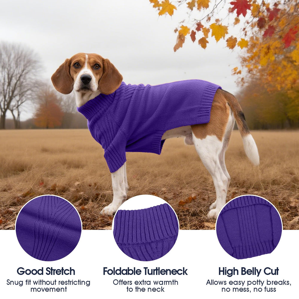 IECOii turtleneck closeup highlights neck coverage and cozy knit.