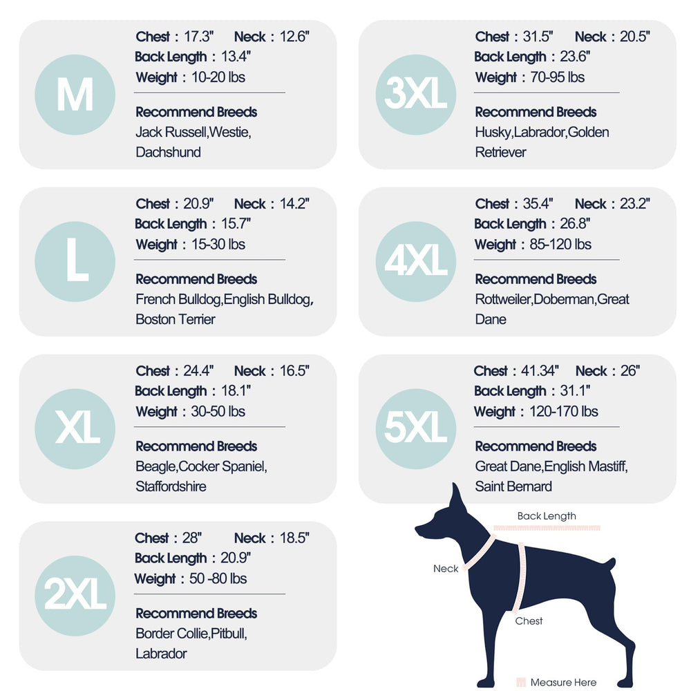 IECOii 4XL chest size chart view for extra-large dogs.