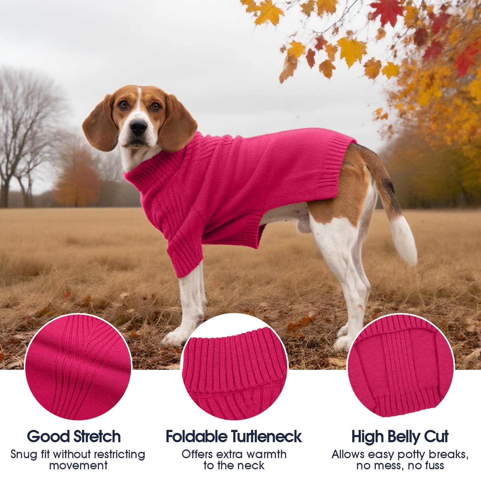 IECOii Great Dane Sweater turtleneck close-up showing snug neck warmth.