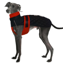 IECOii Greyhound Coat front view in snow showing warm fleece and wind barrier