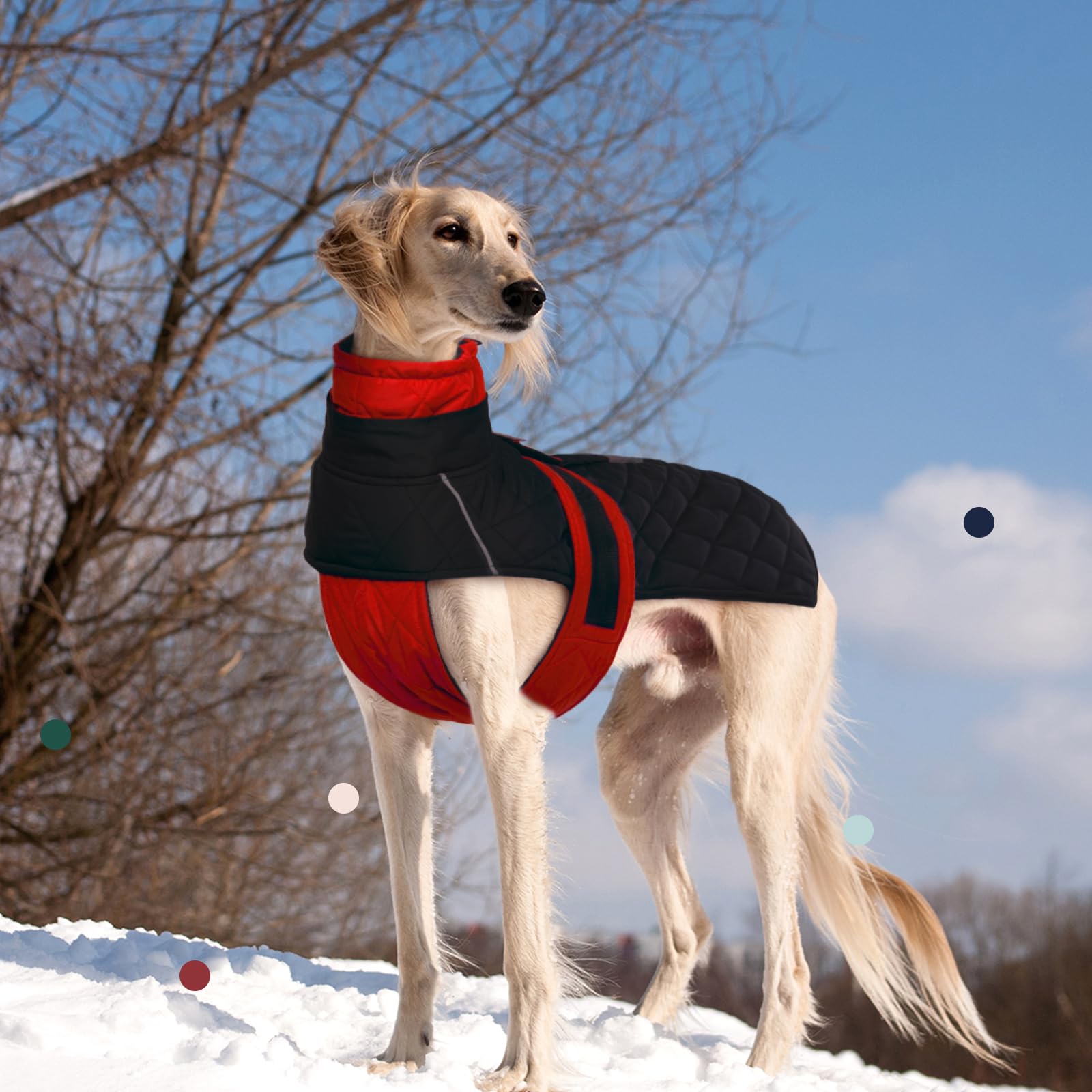IECOii Greyhound Coat thick fleece lining provides cozy warmth
