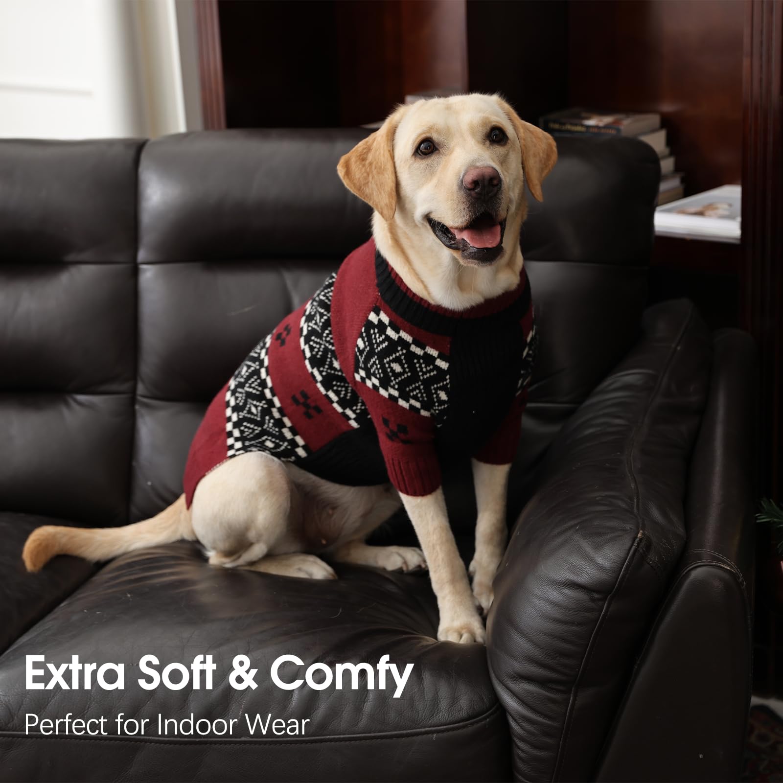 IECOii machine-washable dog knitwear for easy cleaning after adventures.