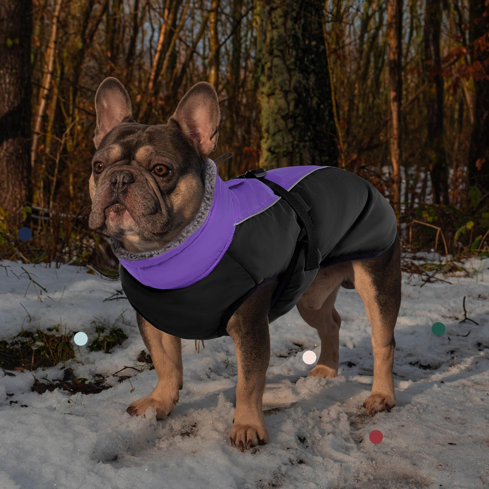 IECOii reflective dog coat leash hole improves night visibility and control