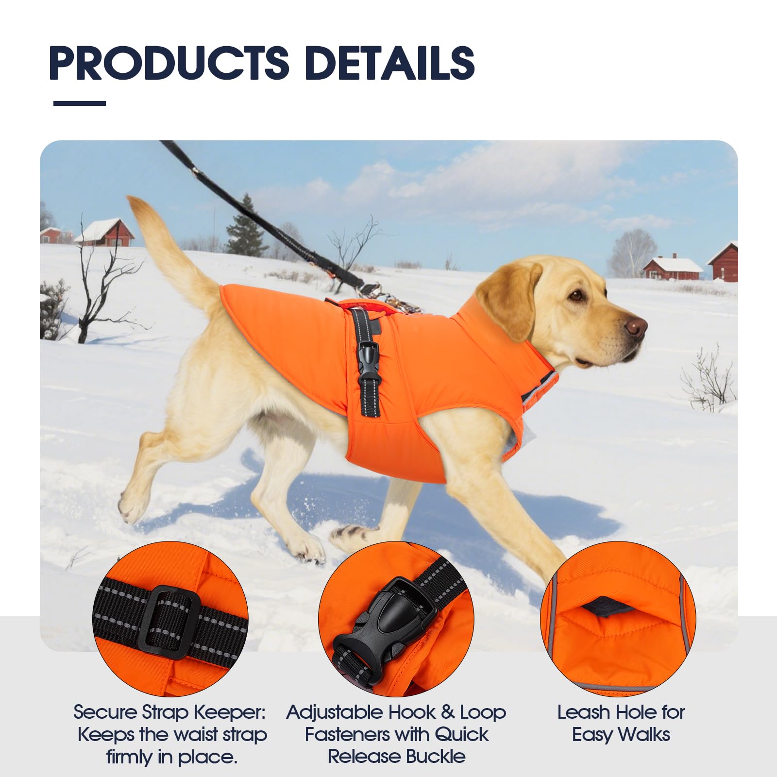 IECOii coat with elastic neck closure simplifies on/off while staying snug.