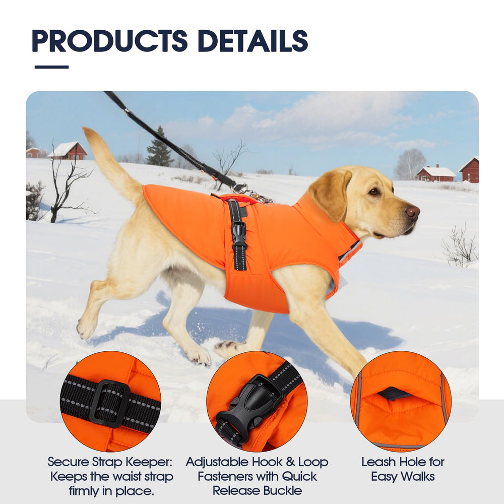 IECOii coat with elastic neck closure simplifies on/off while staying snug.