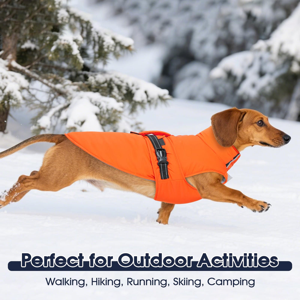 IECOii 3XL pink coat shows measurements and size guidance for large dogs.