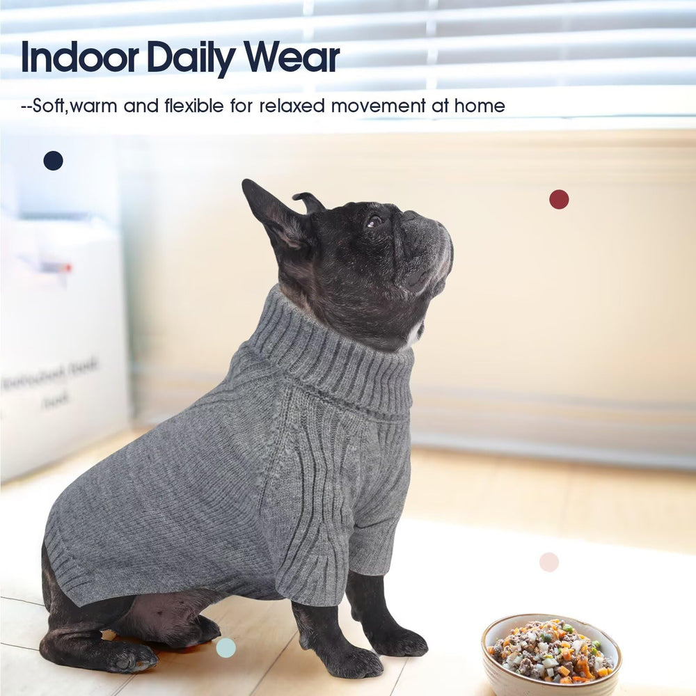 IECOii sweater worn by a large breed dog during playful outdoor strolls.