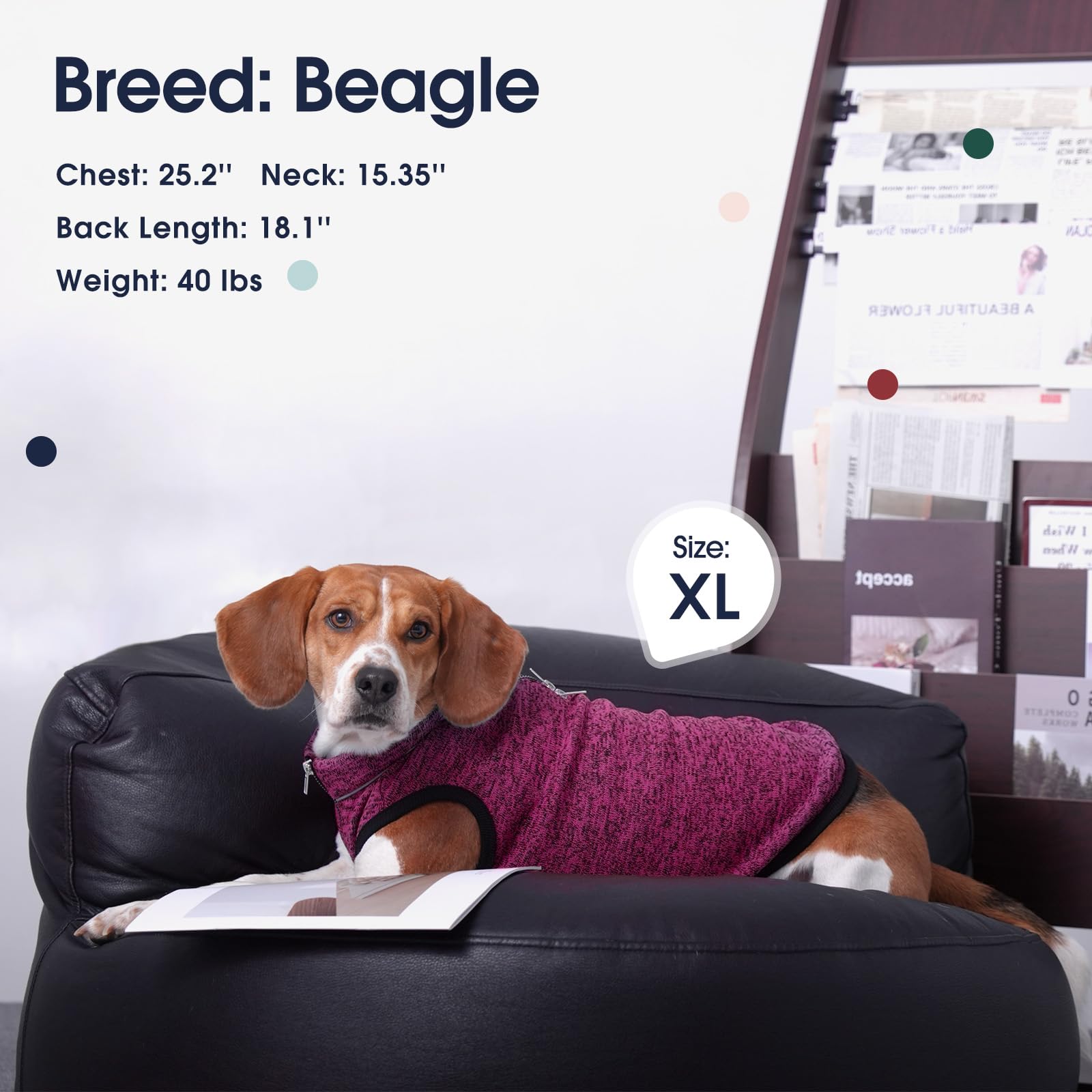 IECOii XXL dog jacket outdoors-ready for hiking and walks