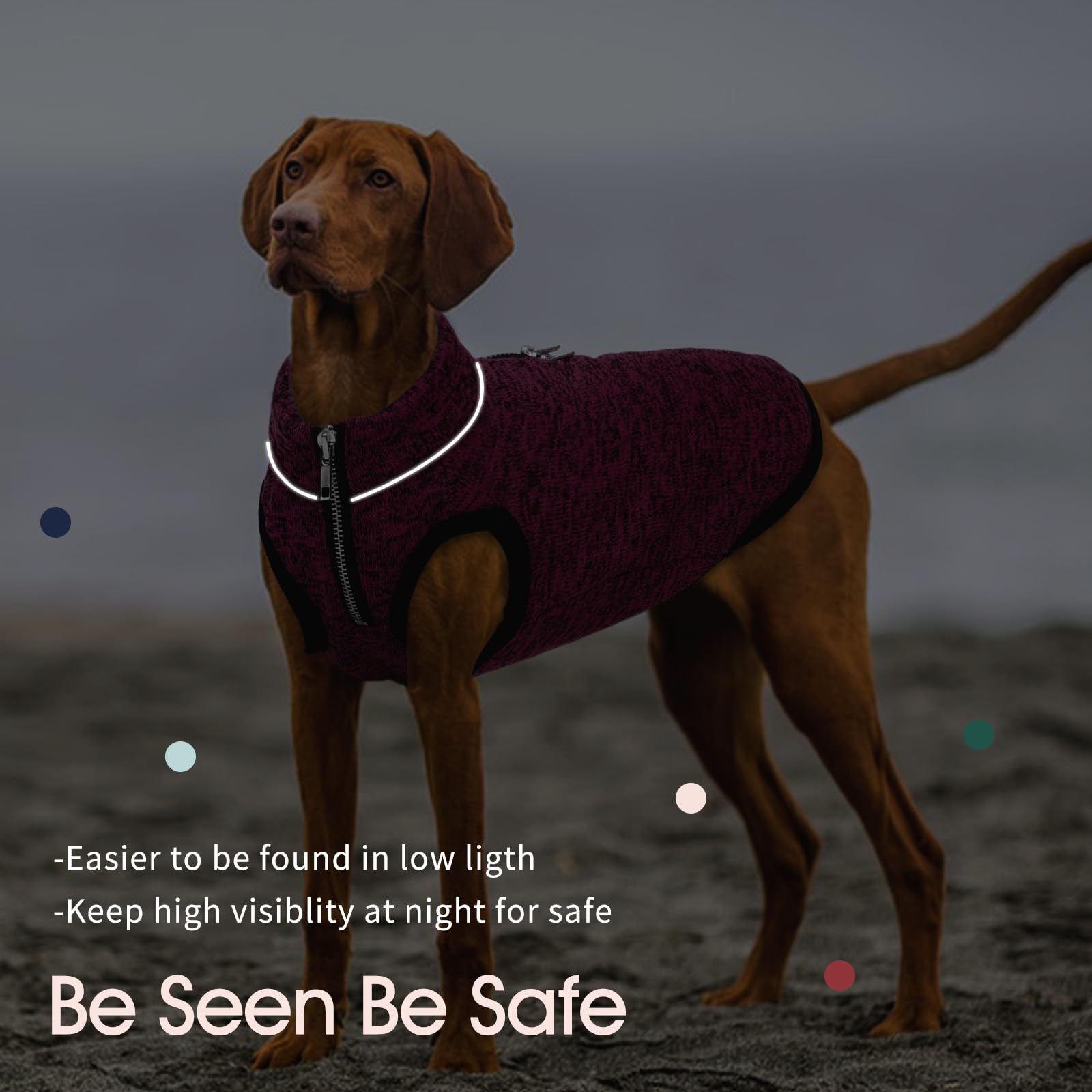 IECOii XXL dog jacket reflective strips improve nighttime visibility