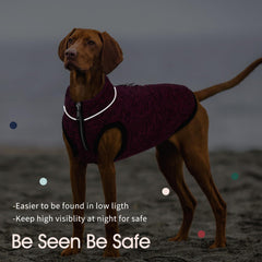 IECOii XXL dog jacket reflective strips improve nighttime visibility