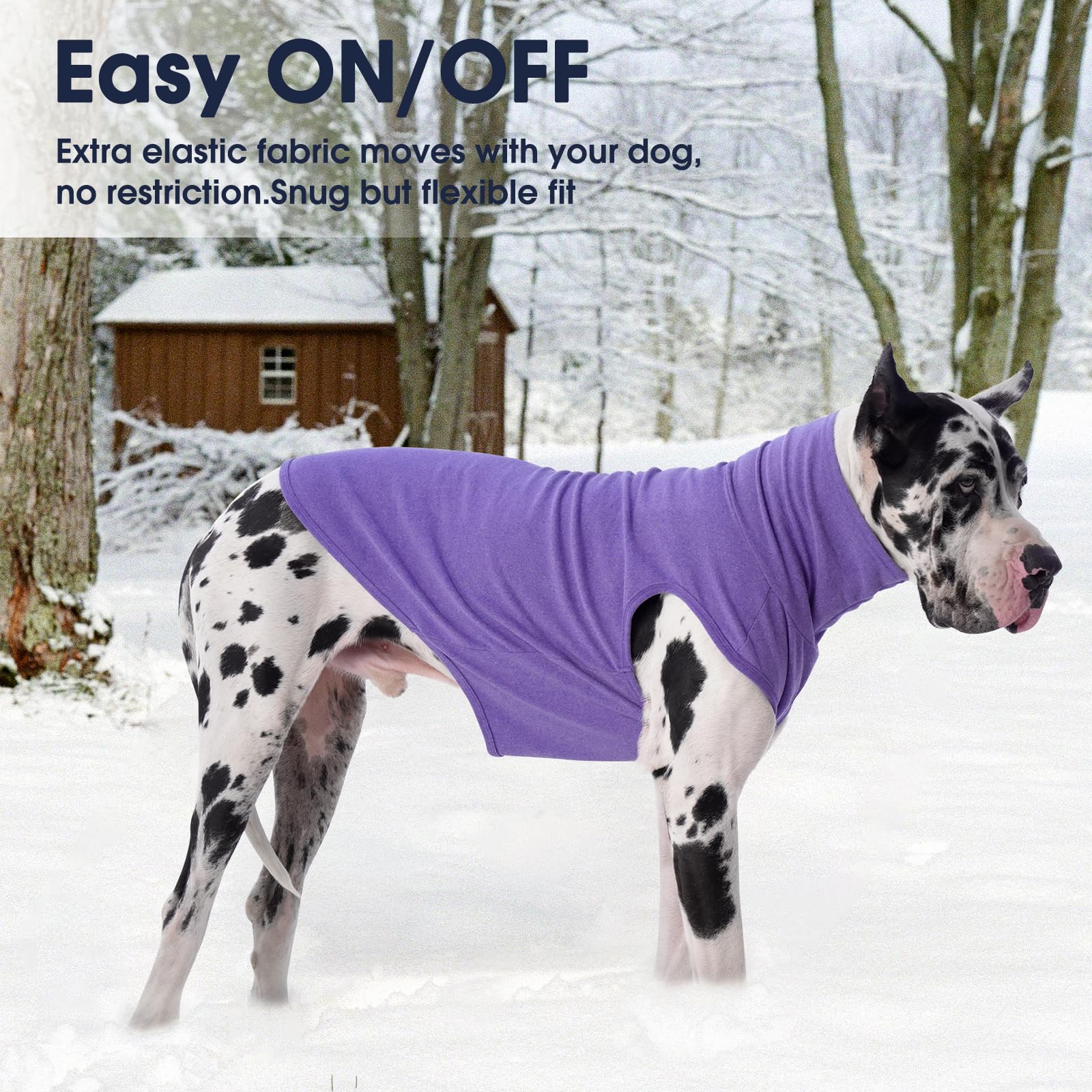 IECOii purple color sweater ideal for stylish cold-weather wear.