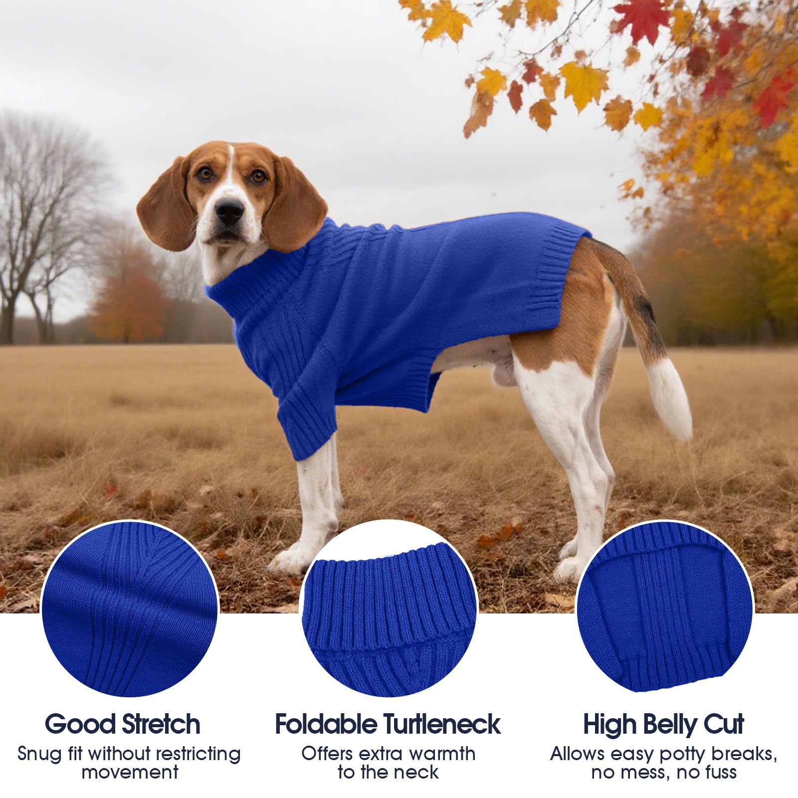 IECOii XXL dog sweater royal blue back view emphasizing full coverage warmth