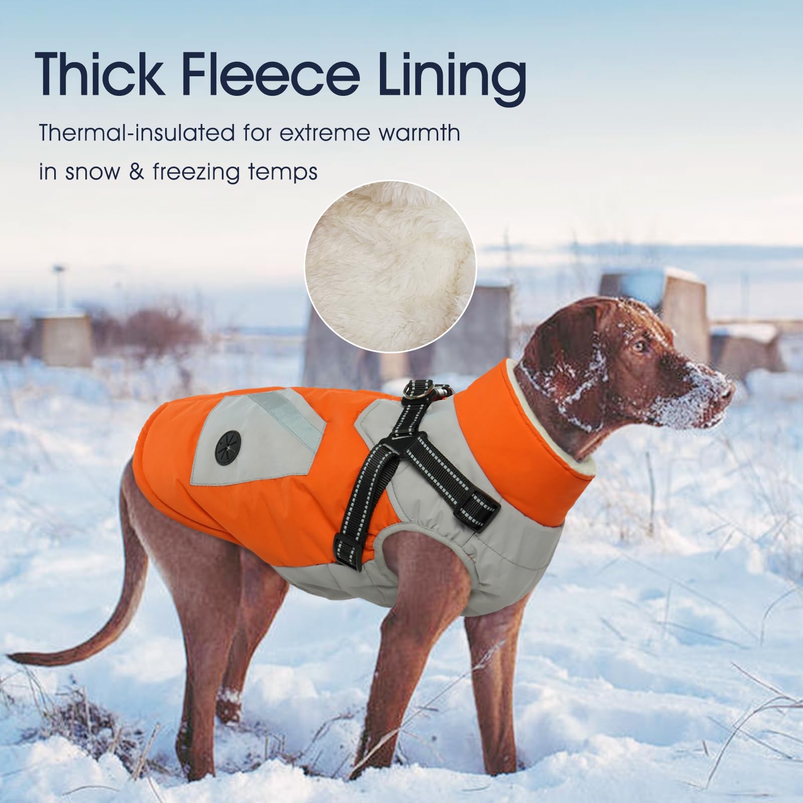 IECOii zip pockets dog snow suit with back pockets for essentials.
