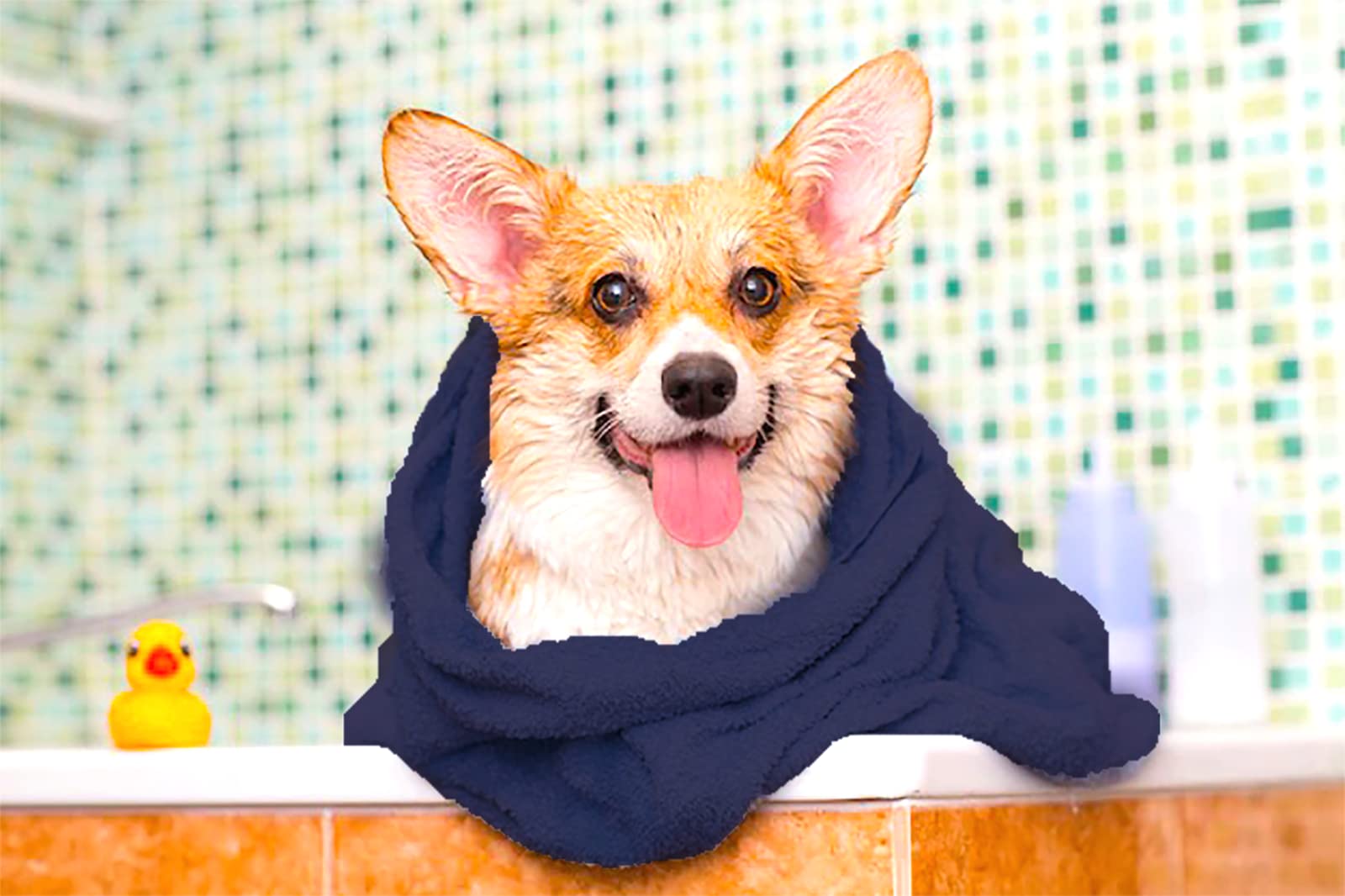 IEDASING'S CHOICE towel ideal for paw wiping, grooming, and travel