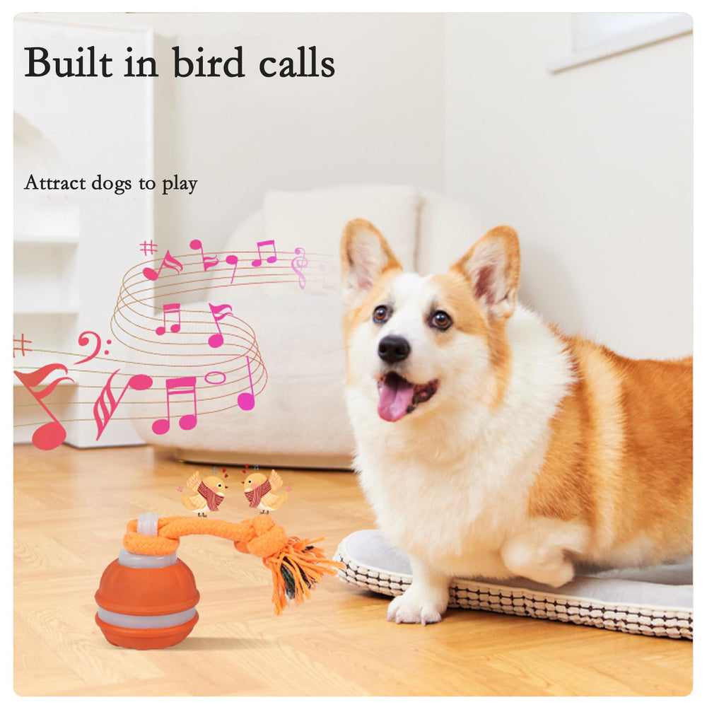 IIEFFJL Pumpkin-Shaped Design adds seasonal charm to playtime