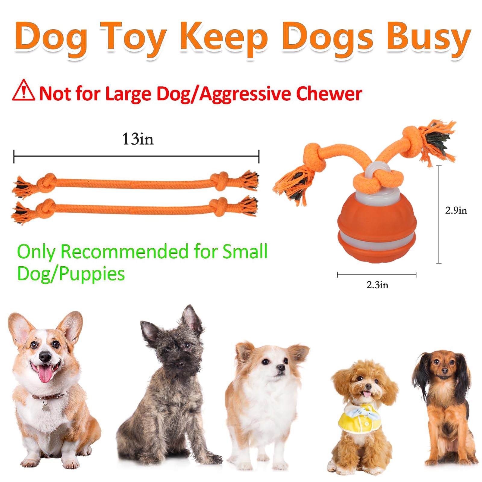 IIEFFJL Three-Mode Interactive Toy adapts to carpets and hard floors