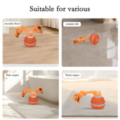IIEFFJL USB Rechargeable Dog Toy charges quickly via Type-C cable
