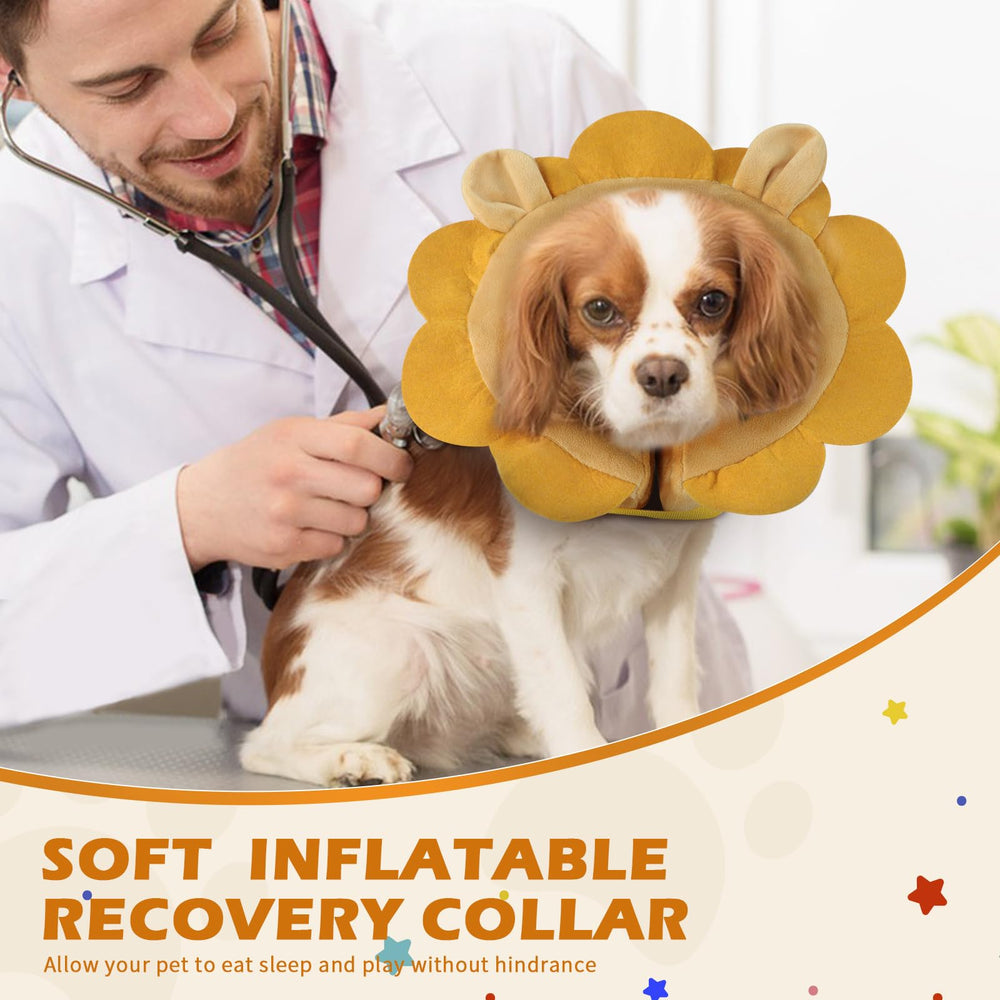 IEUUMLER adjustable soft collar size chart for proper fit