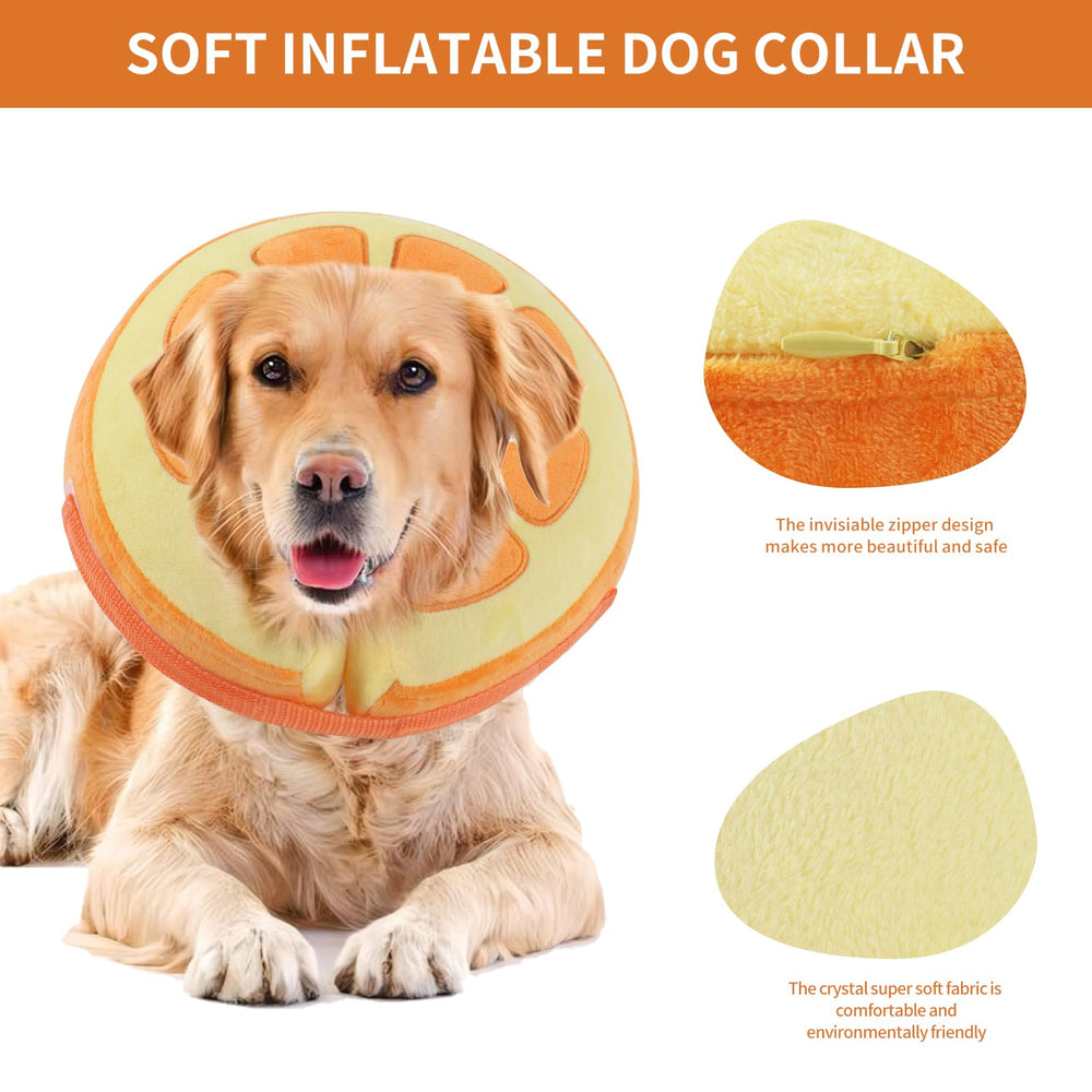 IEUUMLER cute orange-design collar for pets
