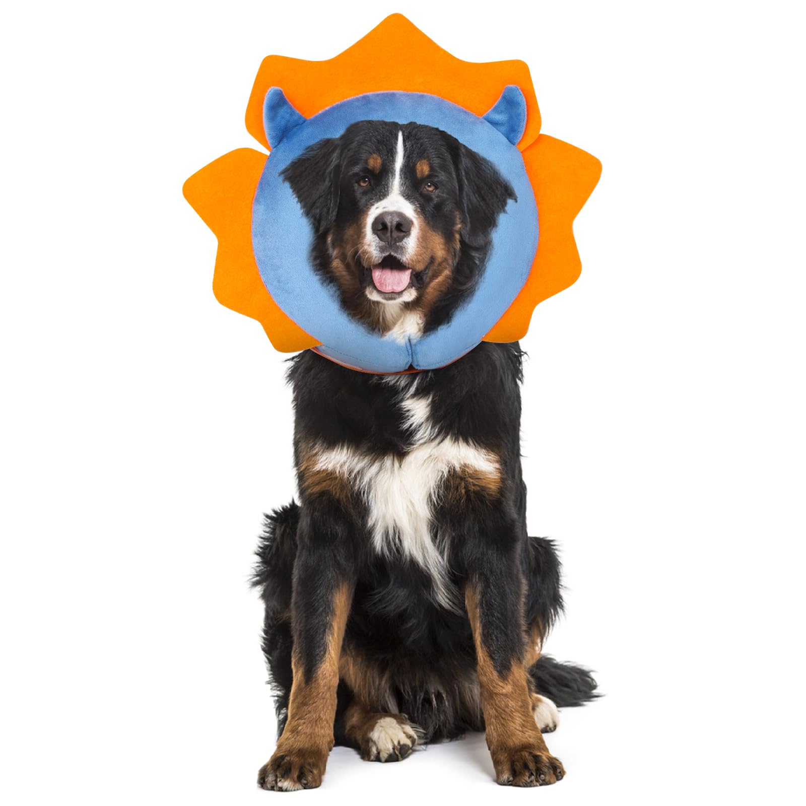 IEUUMLER inflatable dog collar blue EU002 protects post operative wounds during recovery