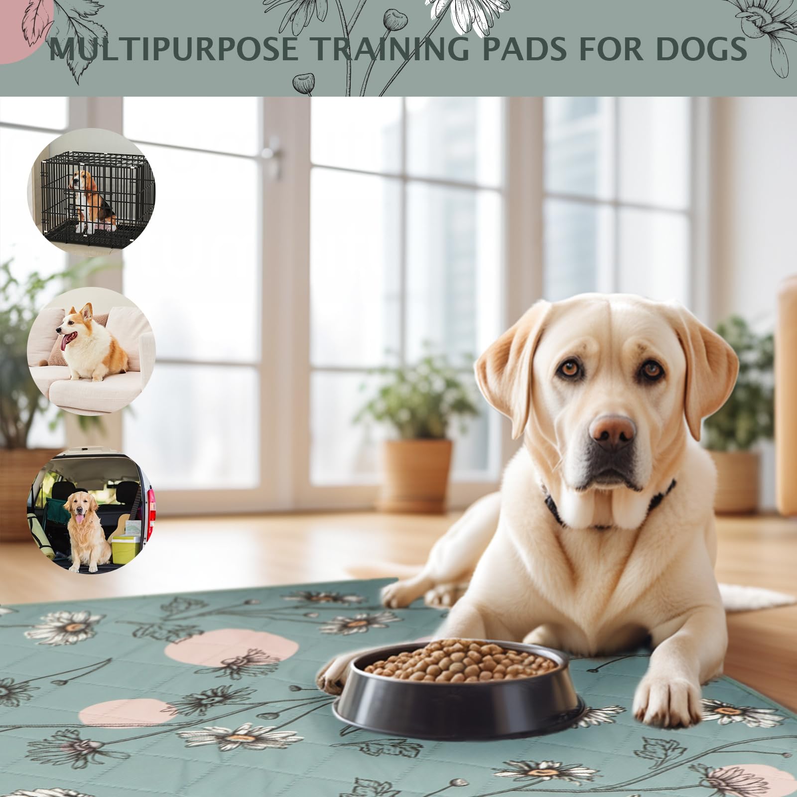 IEUUMLER pack de dos almohadillas para uso rotativo y mayor durabilidad.
