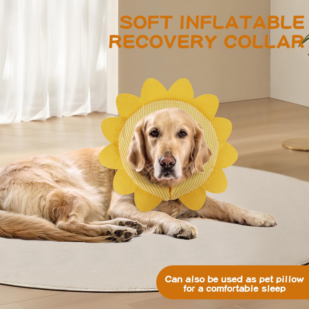 IEUUMLER durable soft-collar packaging showcases product quality and care.