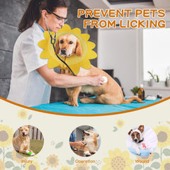 IEUUMLER sunflower design collar adds cute aesthetic to pet recovery.