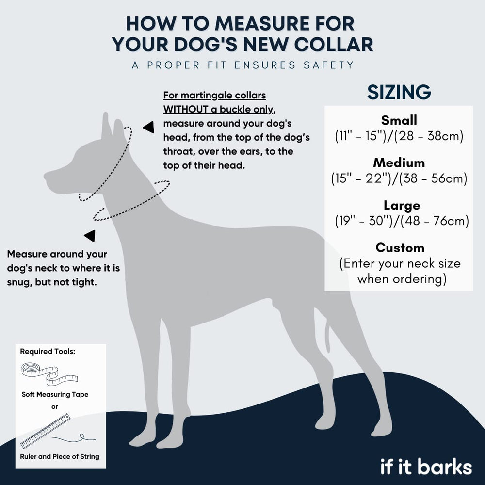 If It Barks dog wearing Key Lime Pie collar during outdoor walk shows visibility