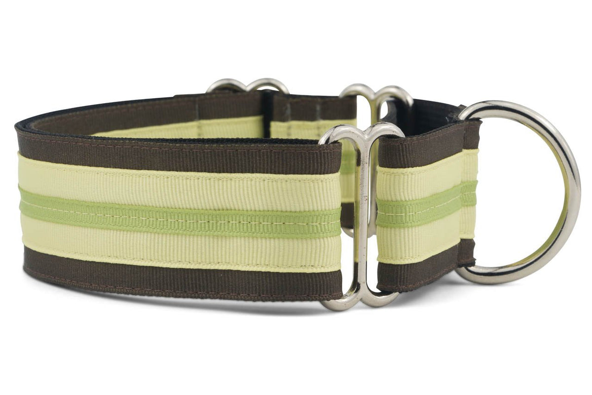 If It Barks 1.5-inch martingale collar Key Lime Pie on a dog, durable daily-wear training aid