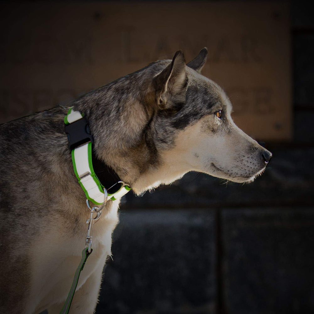 If It Barks pink collar features durable metal hardware built to last