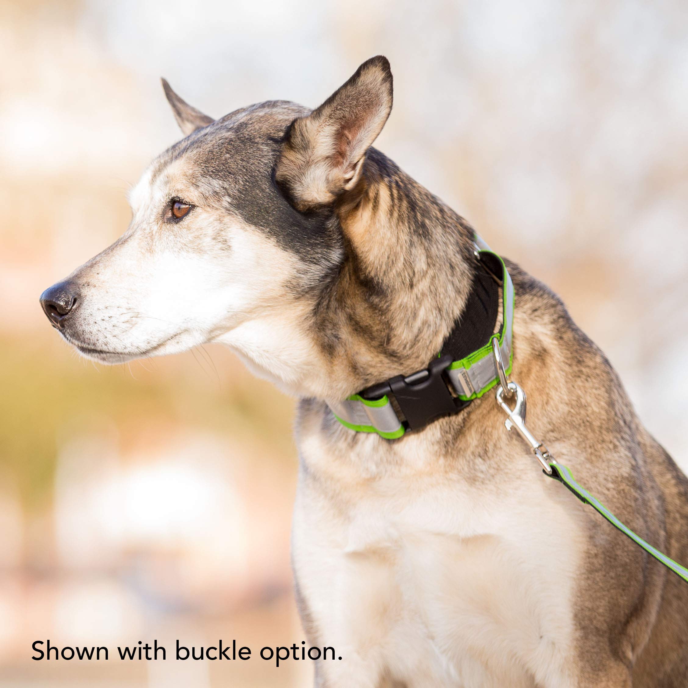 If It Barks pink martingale collar is machine washable for easy cleaning