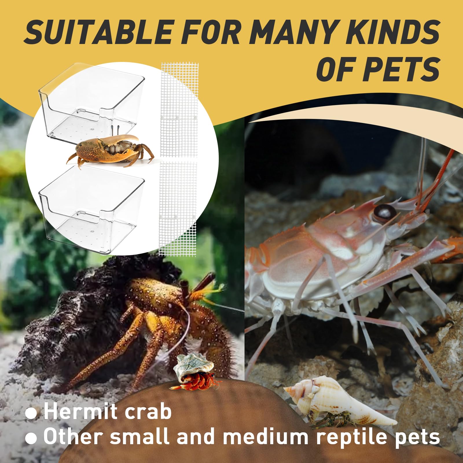 Iffitya hermit-crab-pool-ramp highlights the cuttable climbing ramp for safe exploration.
