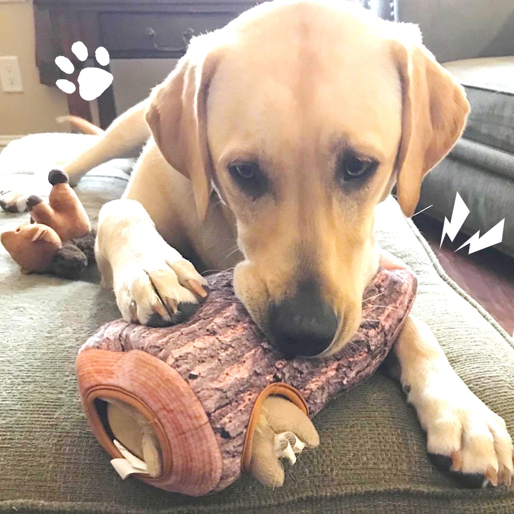 IFOYO Squirrel Hide and Seek toy is easy to clean and maintain