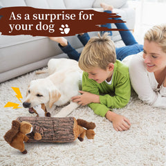 IFOYO Squirrel Hide and Seek toy during puppy play encourages engagement and bonding