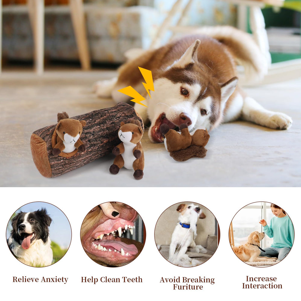 IFOYO Squirrel Hide and Seek toy shown mid-fetch for active dog interaction