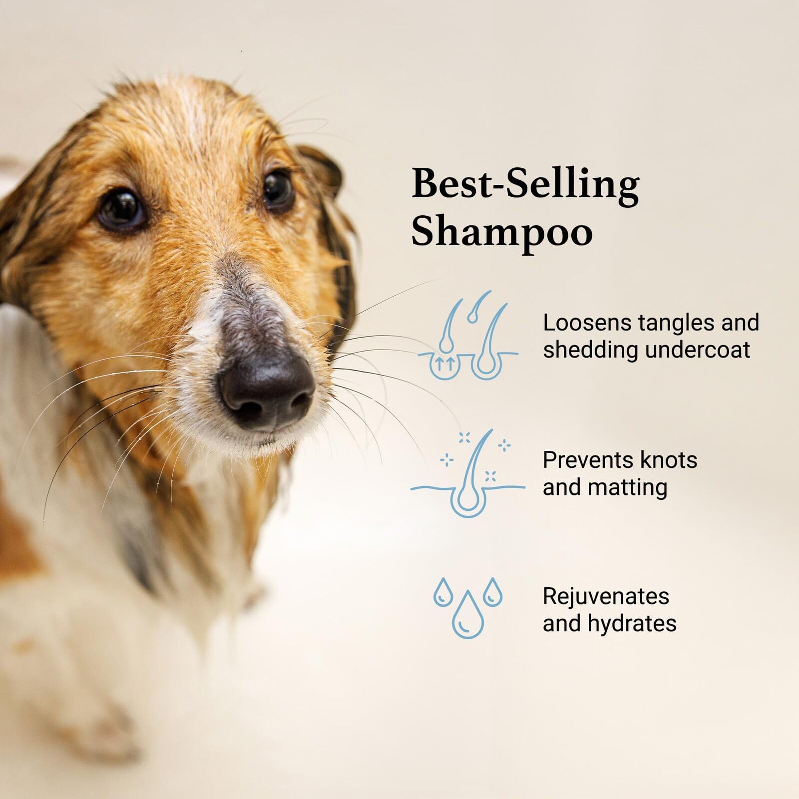 iGroom Deshedding Shampoo label—paraben-free and pH-balanced for gentle care.