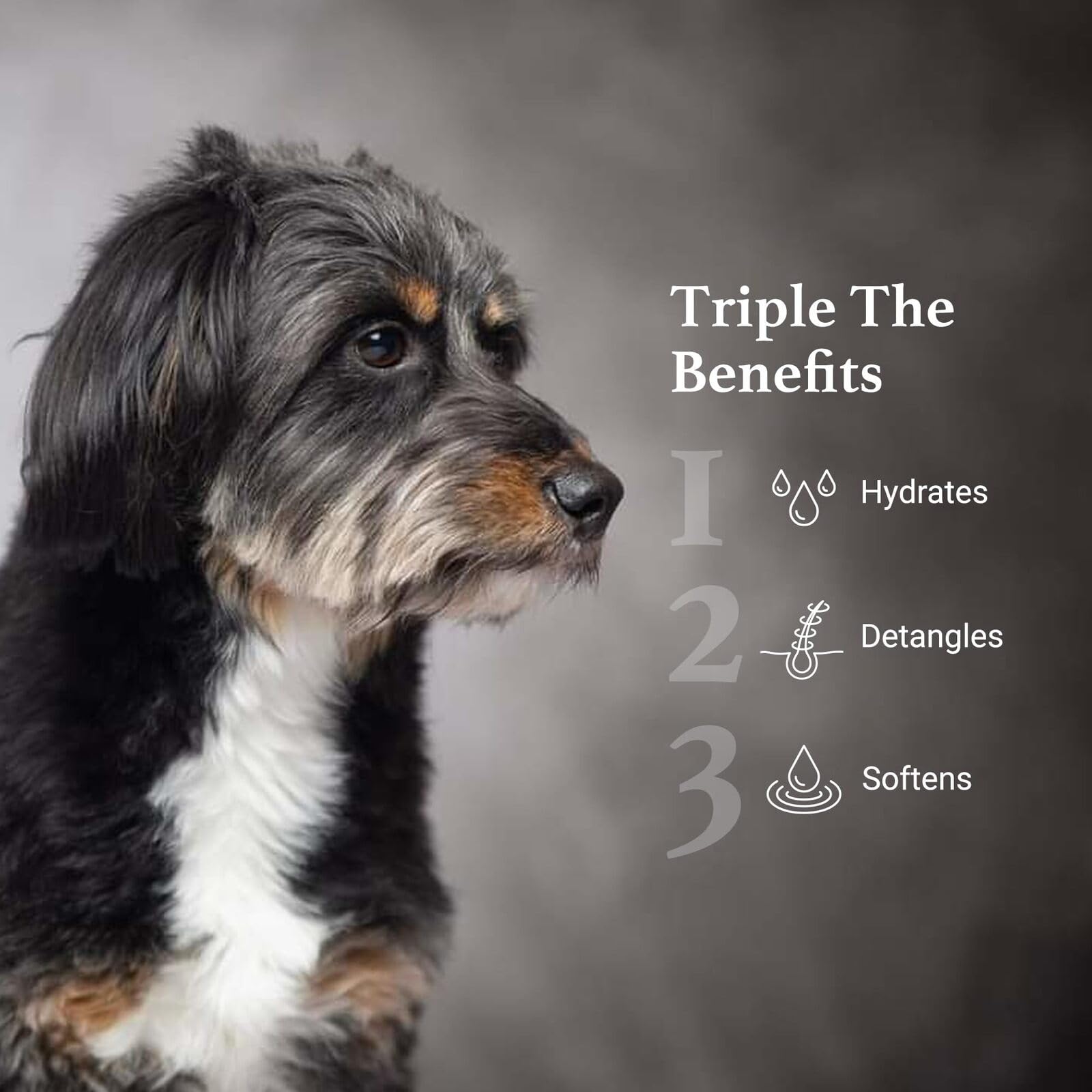 iGroom hydrating dog coat spray applied to damp fur for shine and softness.