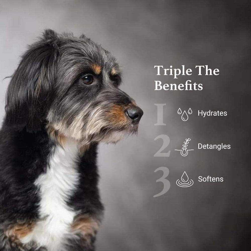 iGroom hydrating dog coat spray applied to damp fur for shine and softness.