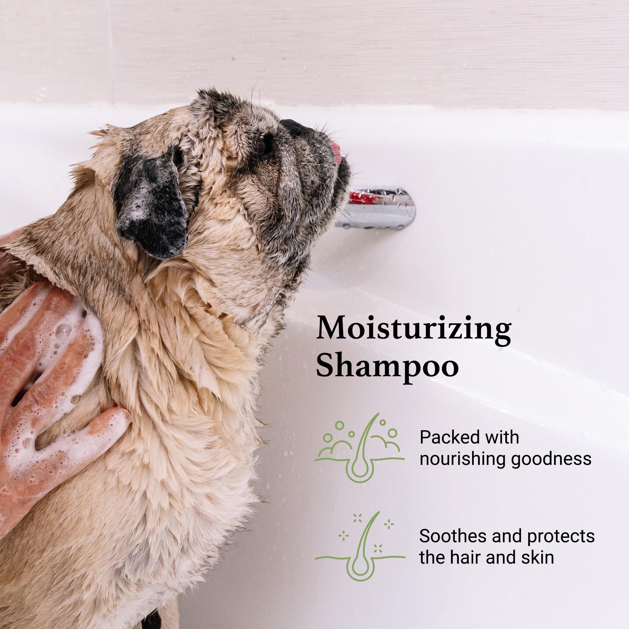 iGroom Pleasia 1 perfume bottle highlights luxe scent for dogs during grooming.