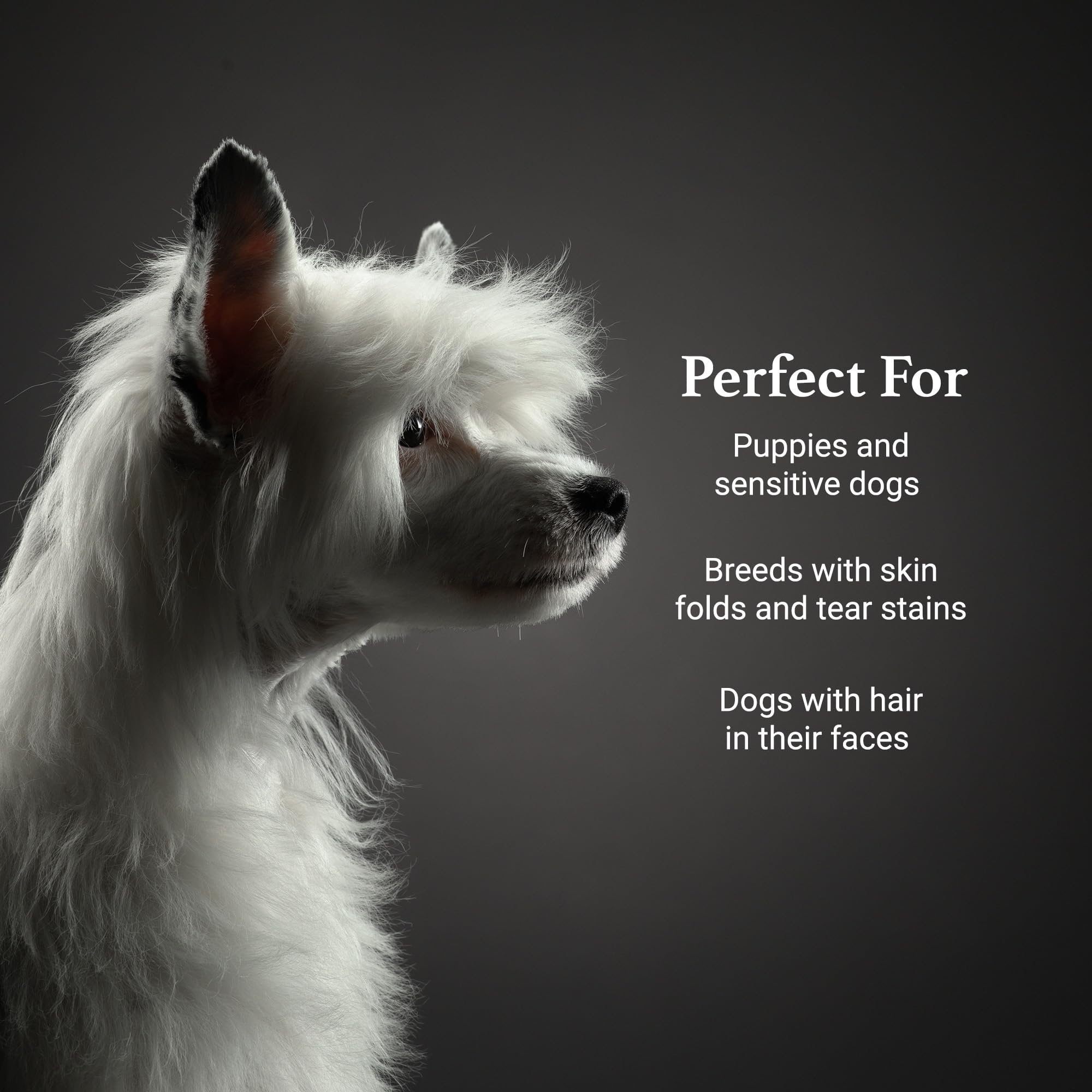 iGroom professional grooming shampoo used in salons for consistent results everyday