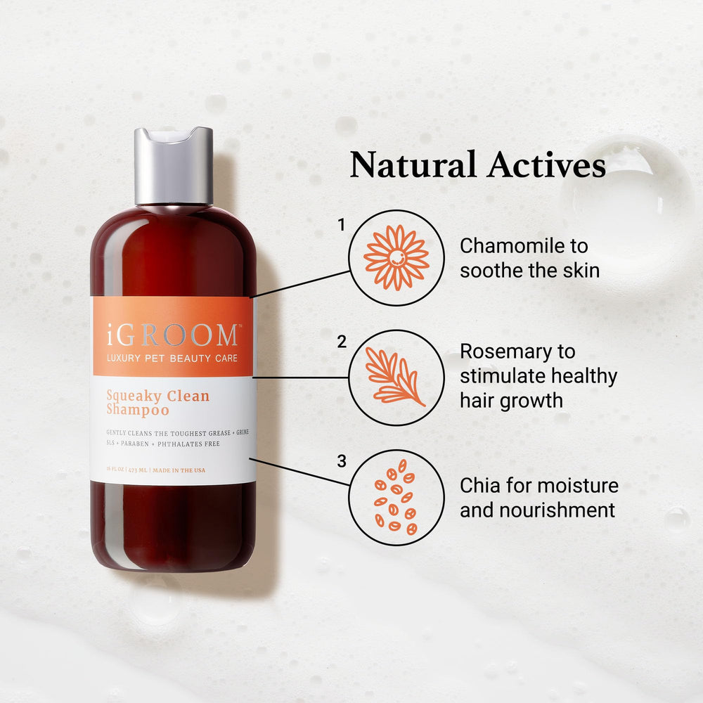 iGroom Squeaky Clean Dog Shampoo rosemary ingredient supports healthy hair