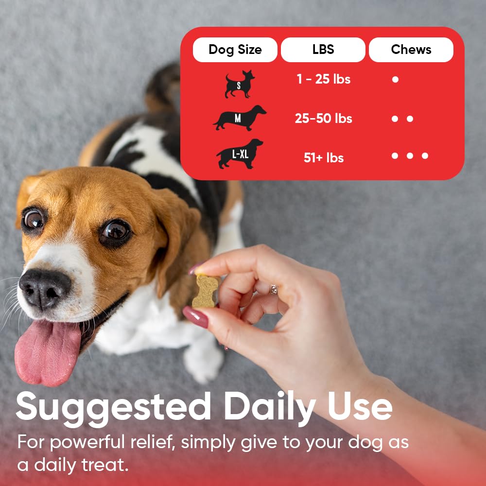 iHeartDogs 90-count-supplement-bag on shelf highlights convenient daily allergy support.