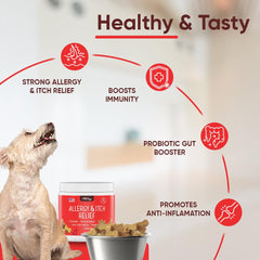 iHeartDogs antioxidants-dog-powder-bottle display suggests overall nourishment and antioxidant support.