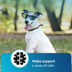 iHeartDogs bacon-flavored chews closeup: appealing taste alongside gentle calming effect