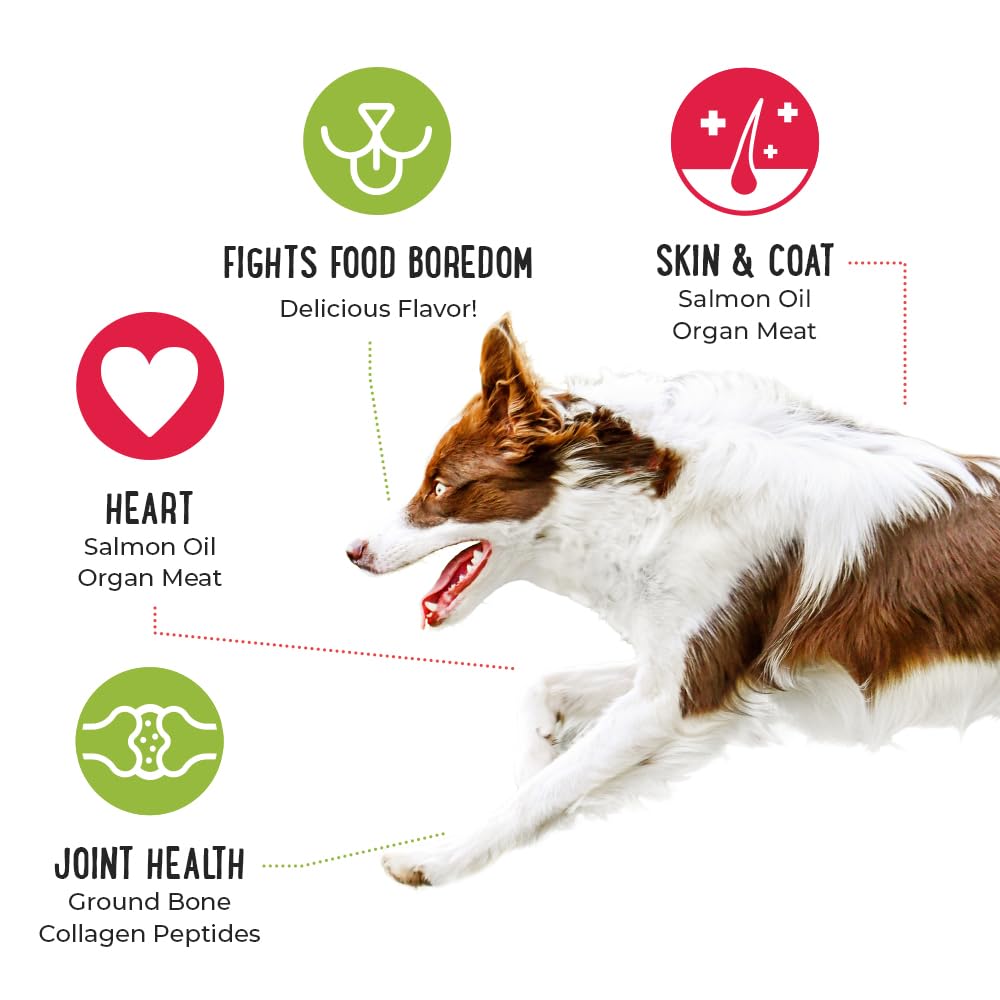 iHeartDogs beef-topper-bowl served shows grain-free, protein-forward meal mixer.