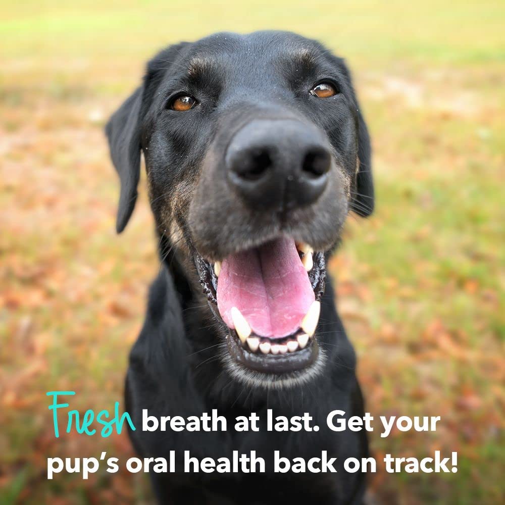 iHeartDogs Brushy Sticks parsley imagery—breath-freshening herbs for fresher dog breath.