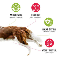 iHeartDogs chicken-topper-bowl-closeup demonstrates versatile option for picky eaters.