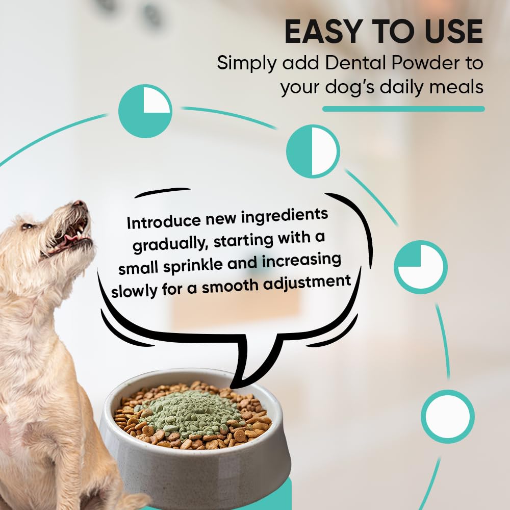 iHeartDogs Clean Teeth powder featuring kelp and greens for breath freshness